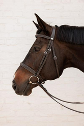 Dy'on Working Collection Cavesson Hunter Bridle